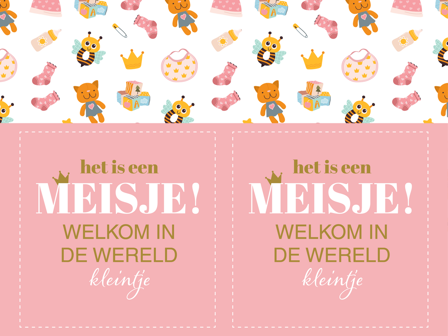 Deltabord Baby geboren "het is een meisje" raamborden