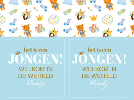 Deltabord Baby geboren "het is een jongen" raamborden