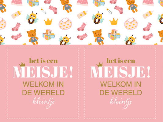 Deltabord Baby geboren "het is een meisje" raamborden